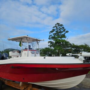 Fly Fish 230